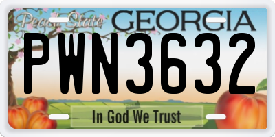 GA license plate PWN3632
