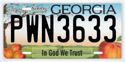 GA license plate PWN3633