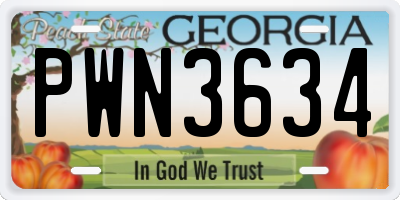 GA license plate PWN3634