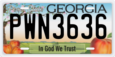 GA license plate PWN3636