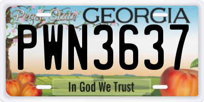 GA license plate PWN3637