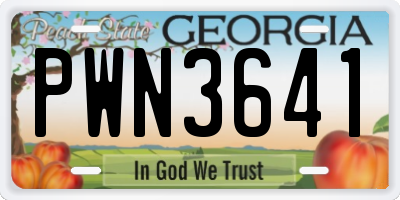 GA license plate PWN3641