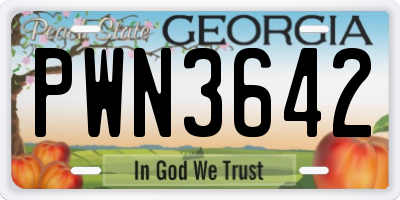 GA license plate PWN3642