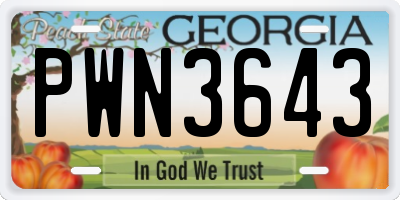 GA license plate PWN3643
