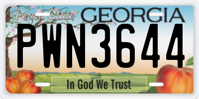 GA license plate PWN3644