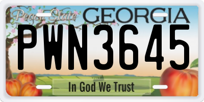 GA license plate PWN3645