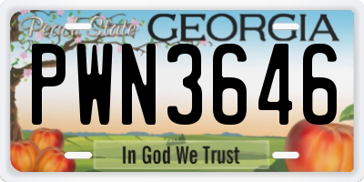 GA license plate PWN3646