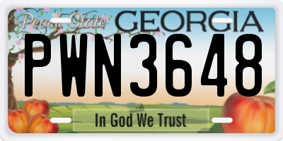 GA license plate PWN3648