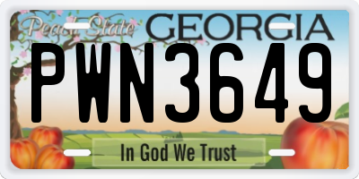 GA license plate PWN3649