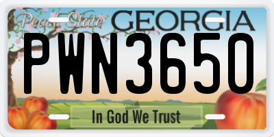 GA license plate PWN3650