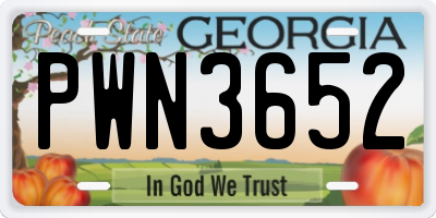 GA license plate PWN3652