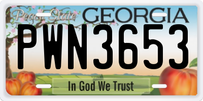 GA license plate PWN3653