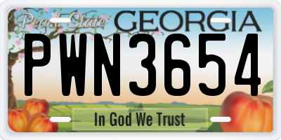 GA license plate PWN3654