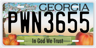 GA license plate PWN3655