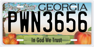 GA license plate PWN3656