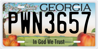 GA license plate PWN3657