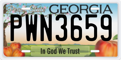 GA license plate PWN3659