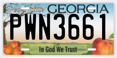 GA license plate PWN3661