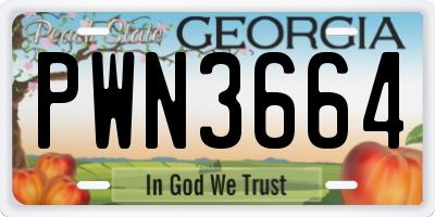 GA license plate PWN3664