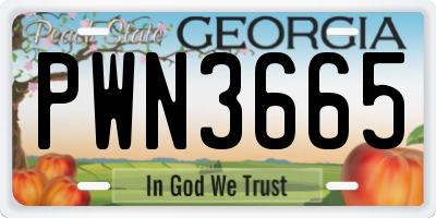 GA license plate PWN3665