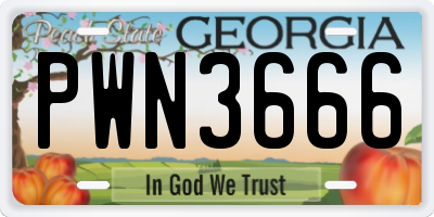 GA license plate PWN3666