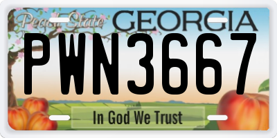 GA license plate PWN3667
