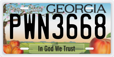 GA license plate PWN3668