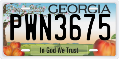 GA license plate PWN3675