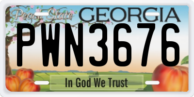 GA license plate PWN3676