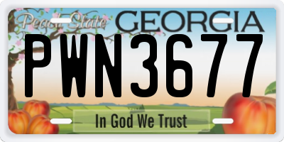 GA license plate PWN3677