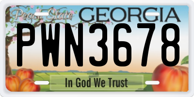 GA license plate PWN3678