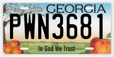 GA license plate PWN3681