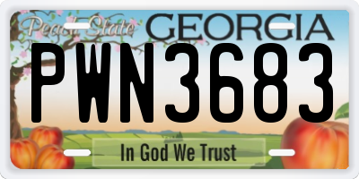 GA license plate PWN3683