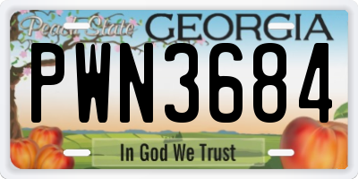 GA license plate PWN3684