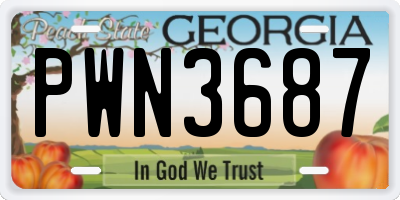 GA license plate PWN3687
