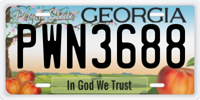 GA license plate PWN3688