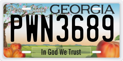 GA license plate PWN3689