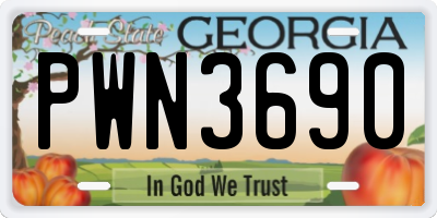 GA license plate PWN3690