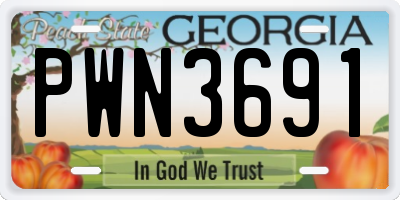 GA license plate PWN3691