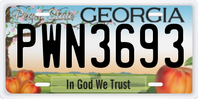 GA license plate PWN3693