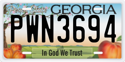 GA license plate PWN3694