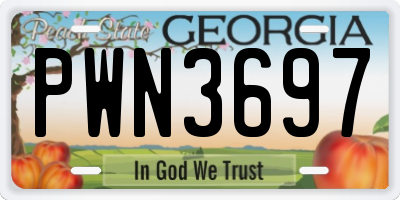 GA license plate PWN3697