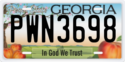 GA license plate PWN3698