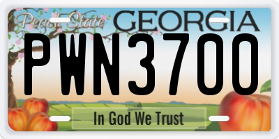 GA license plate PWN3700