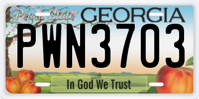 GA license plate PWN3703