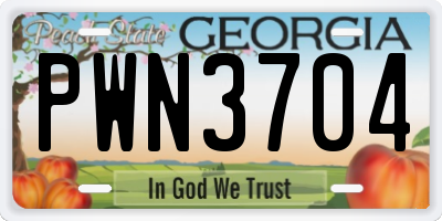 GA license plate PWN3704