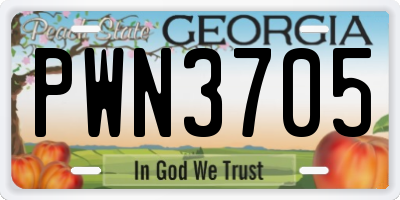 GA license plate PWN3705