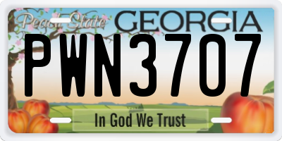 GA license plate PWN3707
