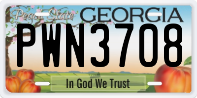 GA license plate PWN3708