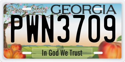 GA license plate PWN3709